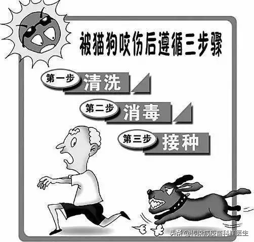 刚打了新冠疫苗被猫猫抓伤,刚打完新冠疫苗被猫抓了怎么办