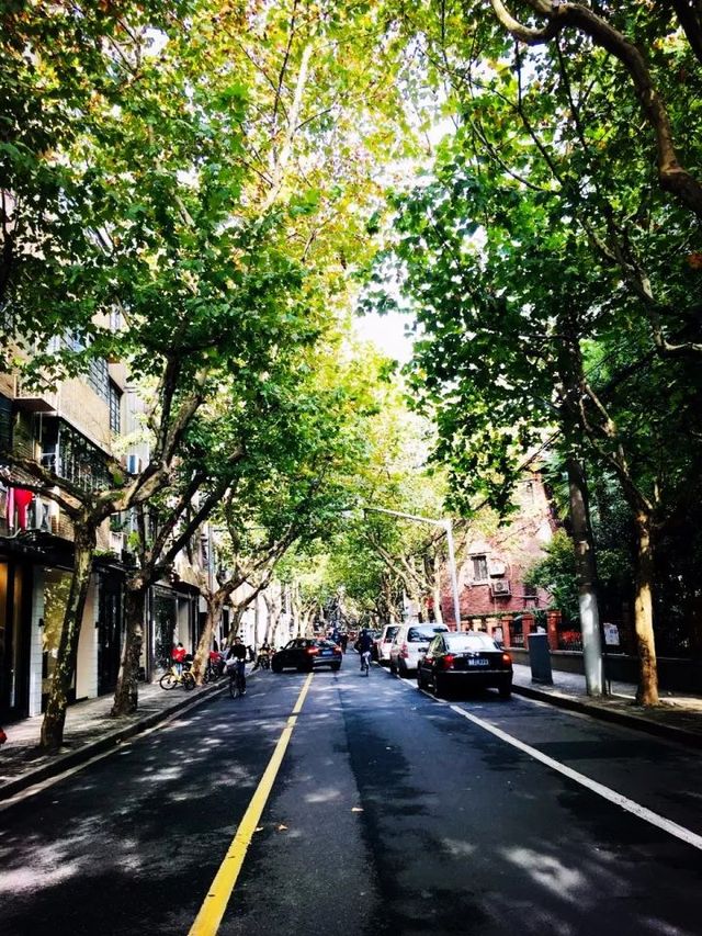 老上海的卢湾区,老上海人回忆卢湾区