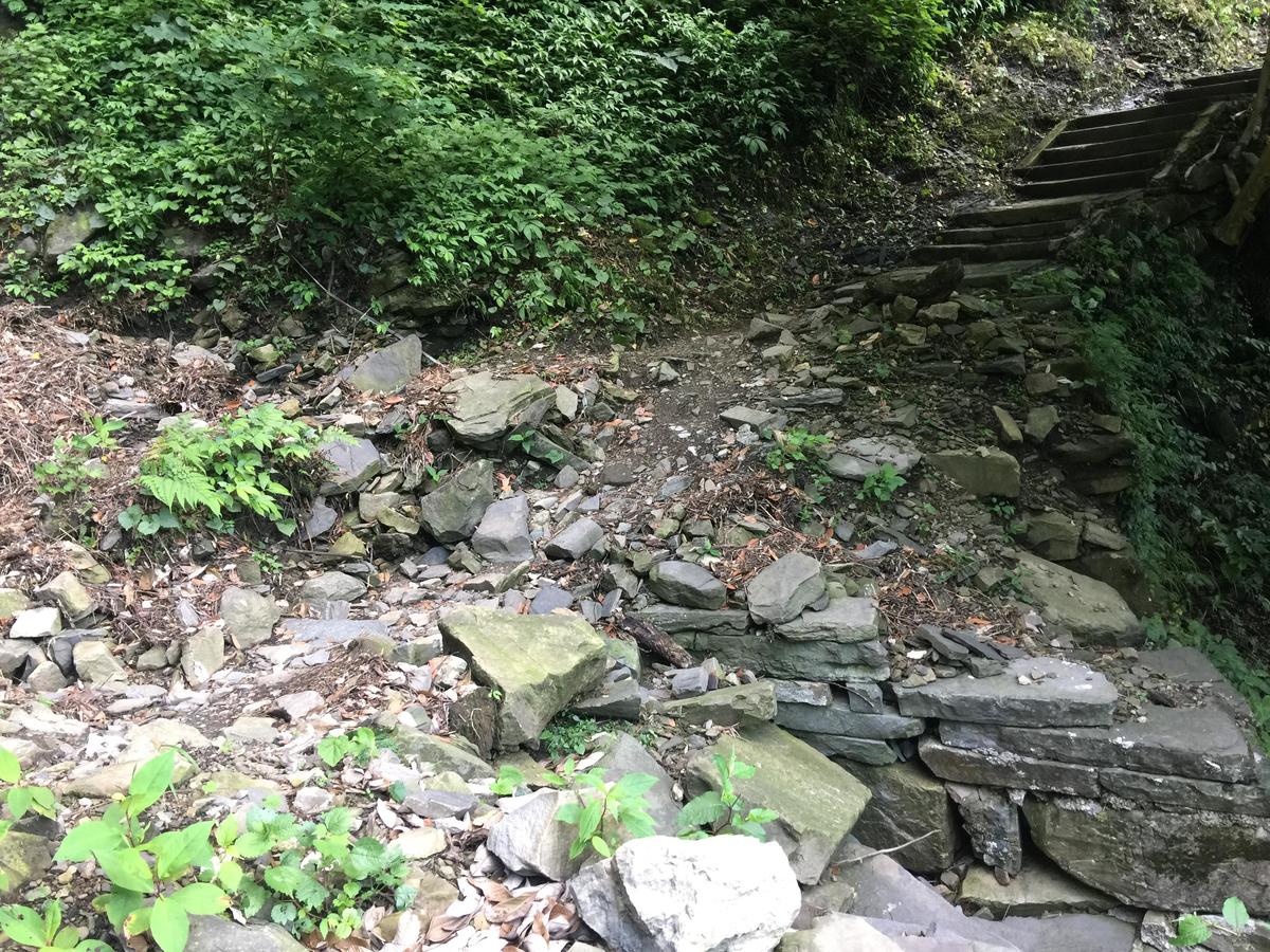 峨眉山登顶佛像,峨眉山登顶记完整版