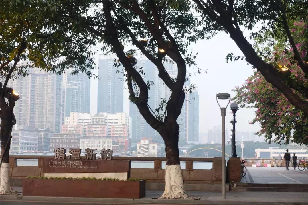 广州市芳村有哪些地方,广州消失的地方