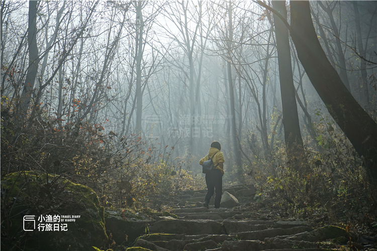 华山不要钱的免费线路,华山不花钱的上山路线