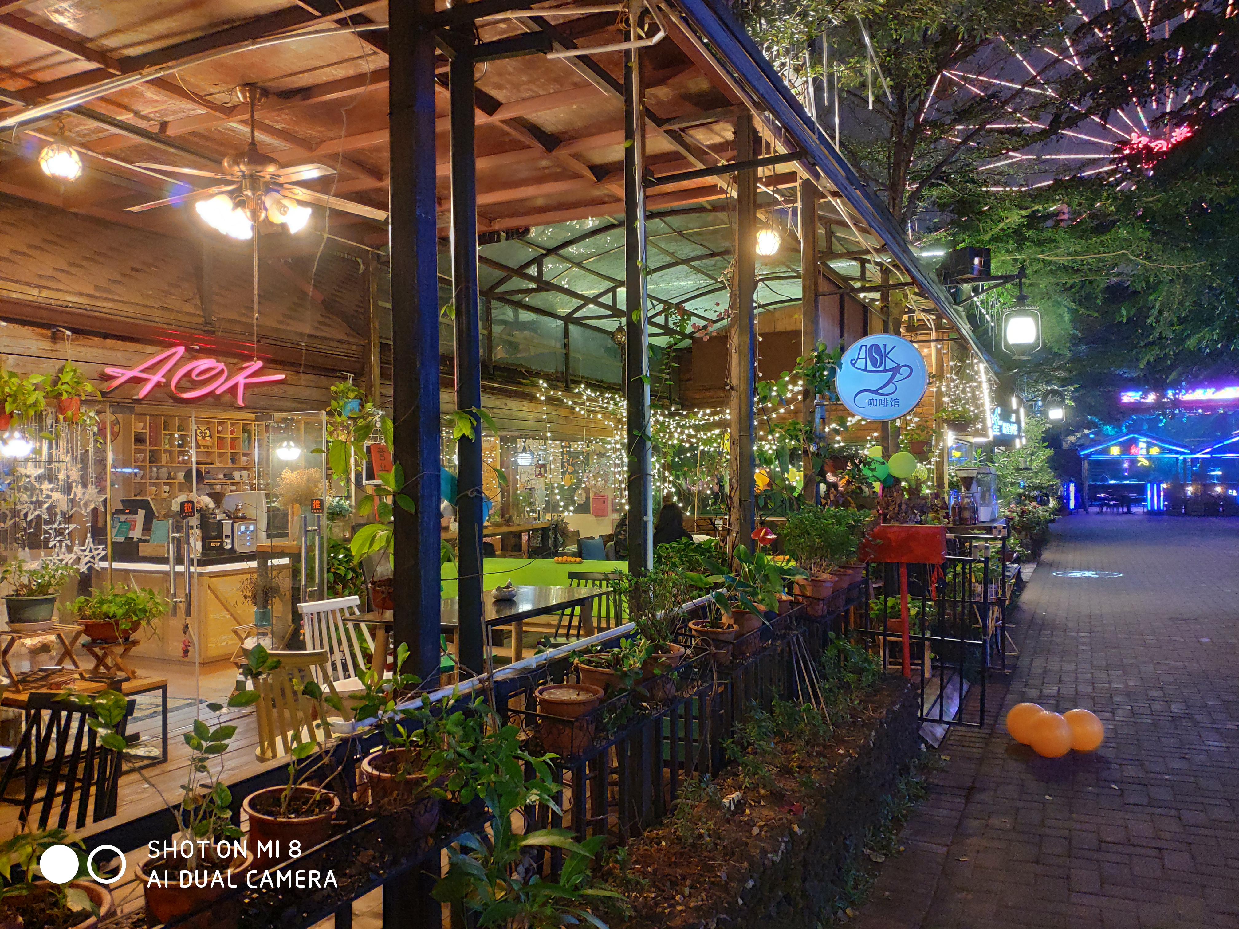 小米8的拍照怎么样？夜拍海口万绿园毫无压力