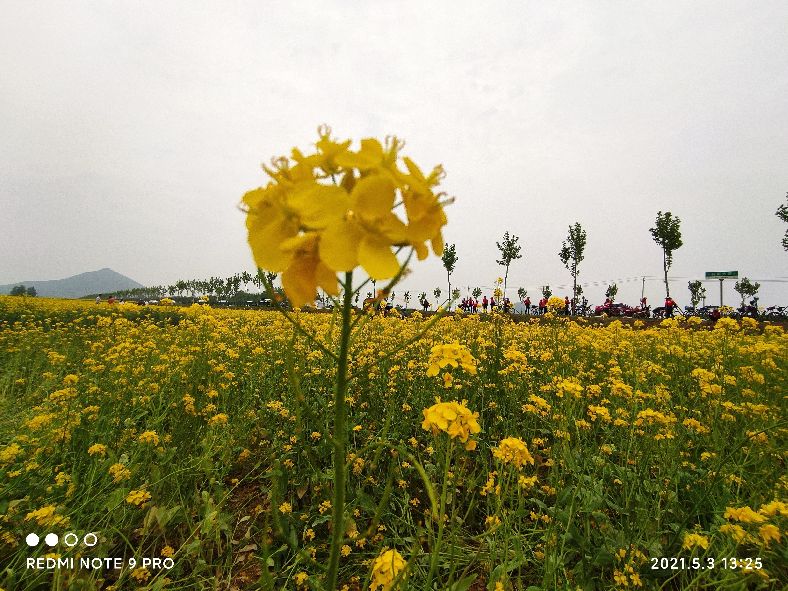 五一骑行临涣古城、芒砀山、云龙湖、皇藏峪
