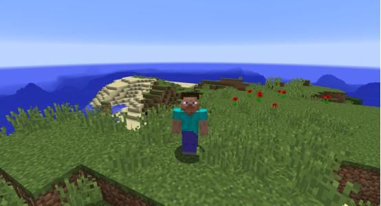 盘点我的世界最孤独的生物,盘点我的世界概率最低的事情