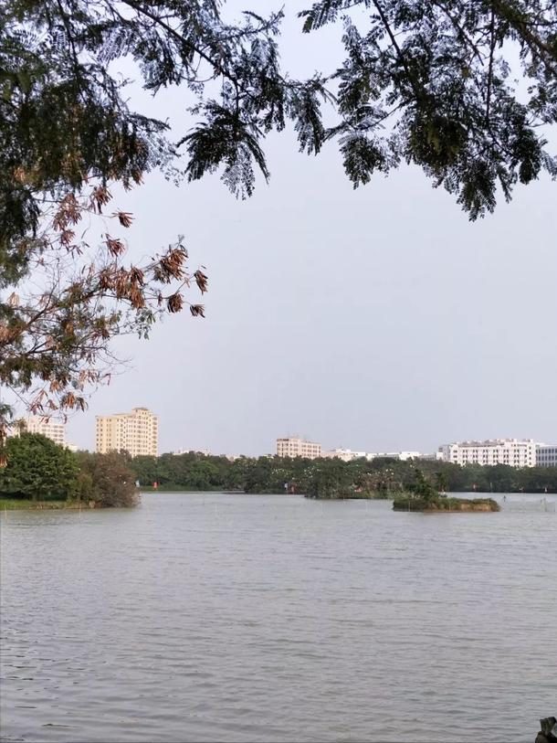 深圳海上田园一日游,深圳宝安海上田园风景