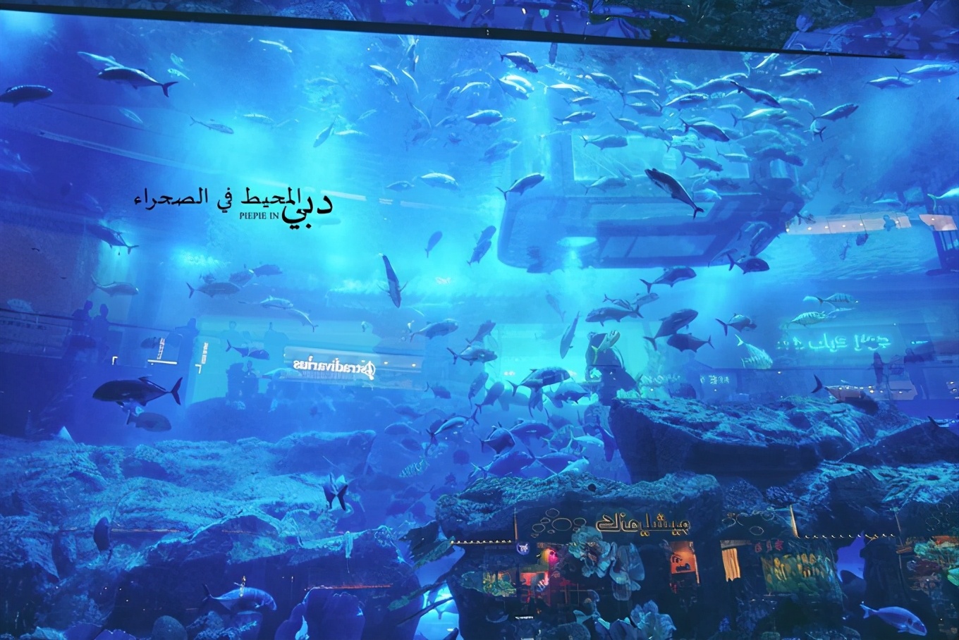 土豪之旅迪拜,迪拜土豪之旅