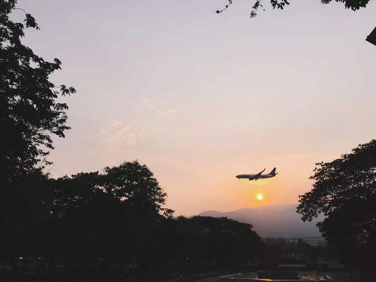 “少说太难，说我可以。”|打开2020