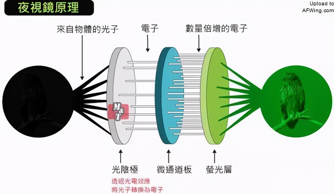 眼睛植入人工晶体后的视野,眼睛植入芯片可永久摆脱近视