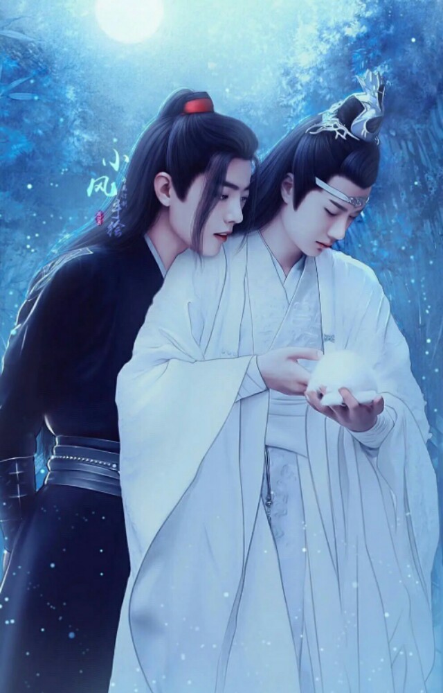 陈情令之忘羡大结局,陈情令之忘羡后记