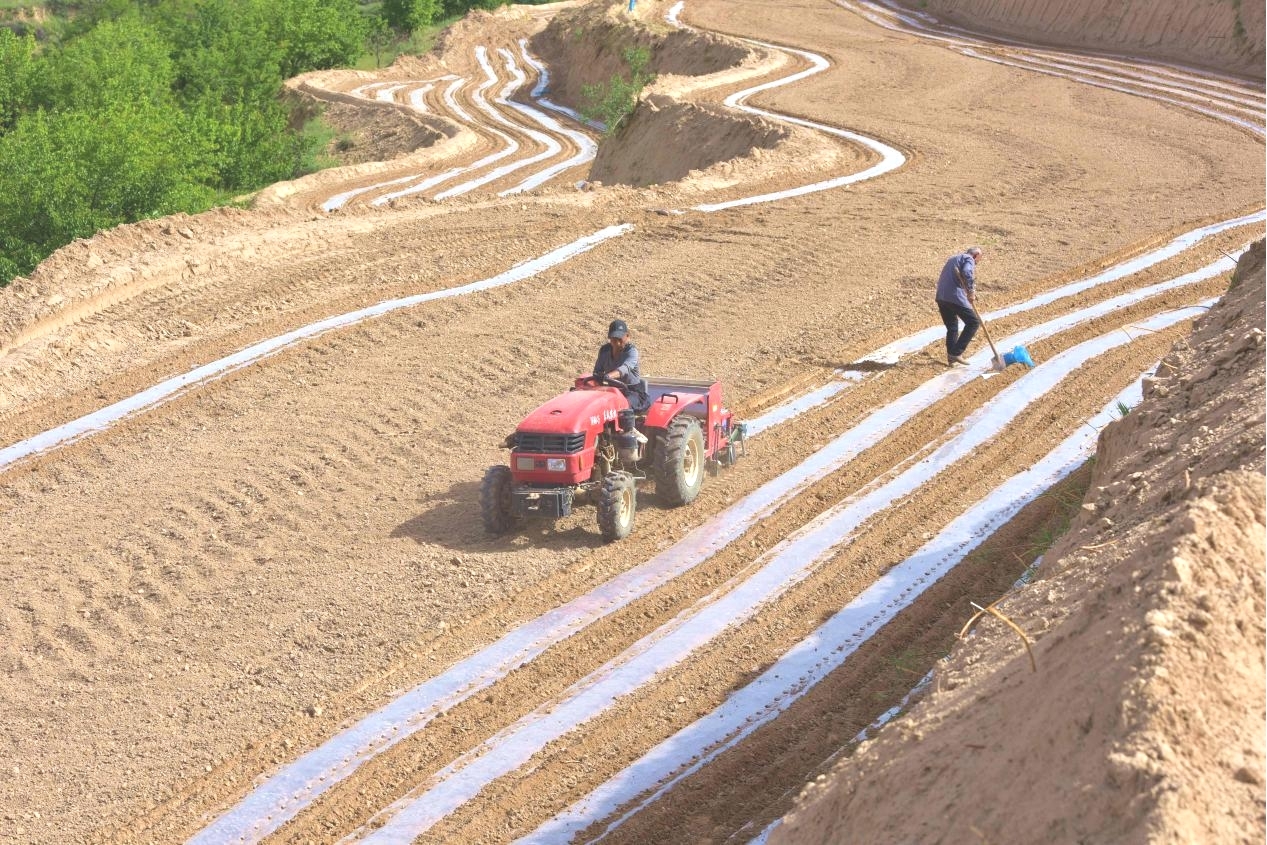 清涧郝家墕:“上帝指纹”的演变