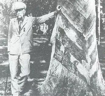 贸易打造的世界：走出巴西的橡胶