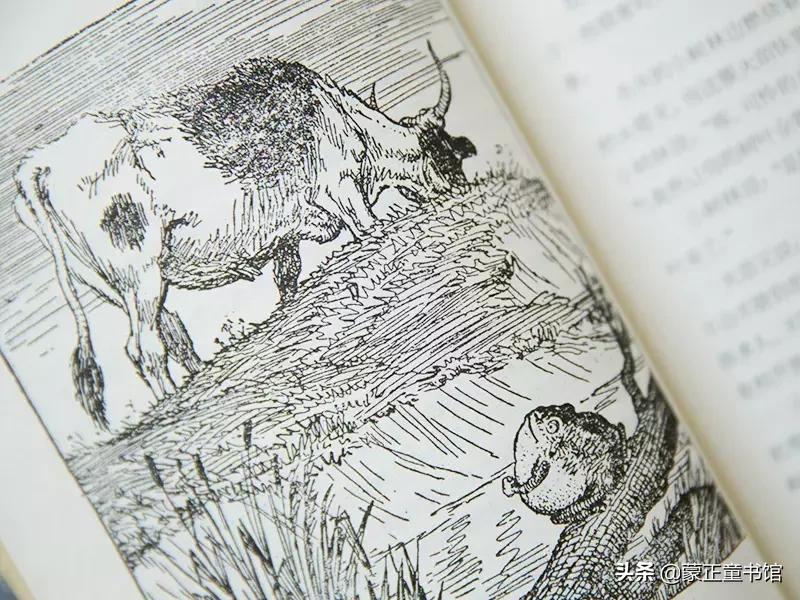 如何教孩子读懂寓言故事,读儿童成长故事的好处