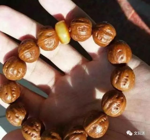 菩提手串长毛发霉有危害,菩提手串长虫子对我们有什么危害