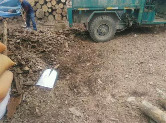 家养绿萝盆里的土越来越少怎么办,土养的绿萝要怎么样才不会黄叶子