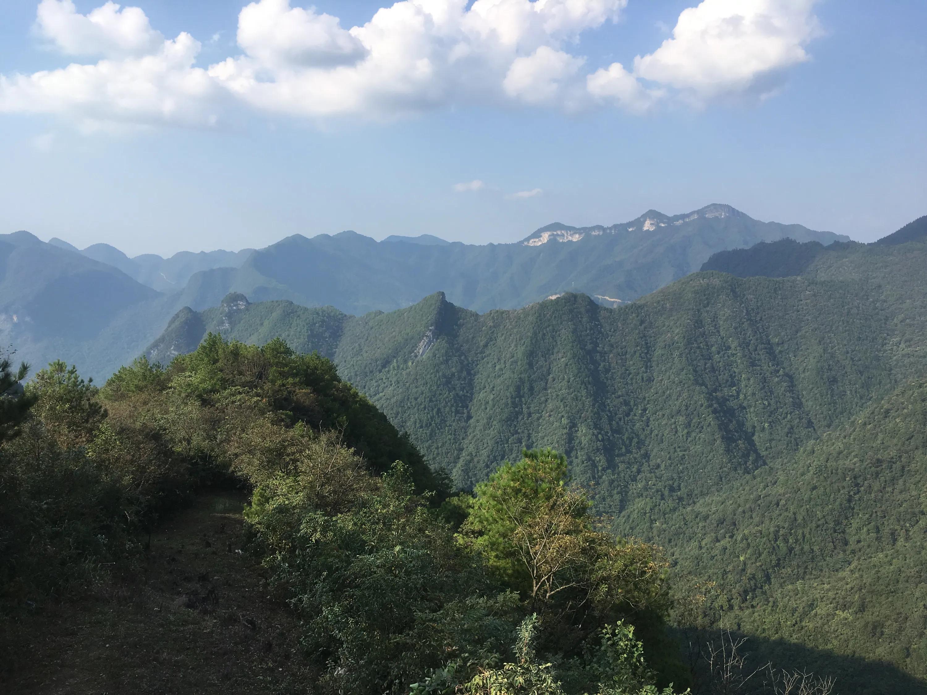 重庆南川区哪个地方好玩,重庆南川是哪些地方