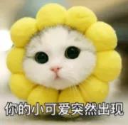 皇城公主的豪门诡事二十,皇城公主豪门诡事25