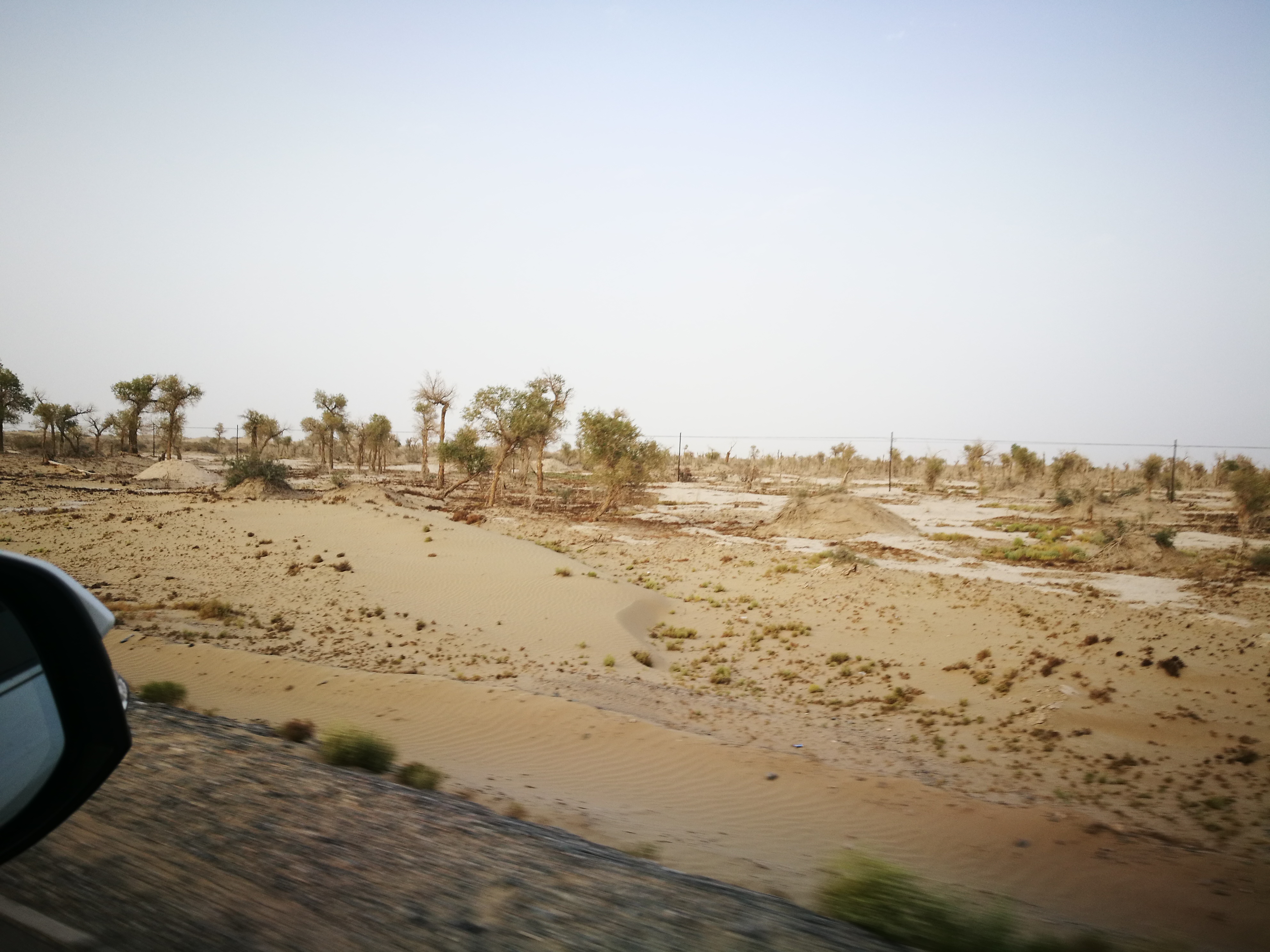 13000公里新手独驾*疆新**日记第23天——塔克拉玛干沙漠陷车自救