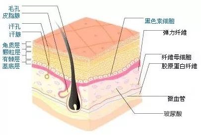 「裸睡」这么好，不试一下吗？