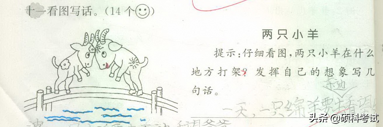 语文看图写话如何练习,一上必考语文看图写话练习题