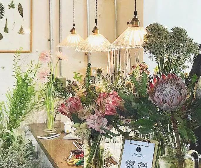 她辞去总监回家扶贫后续,她辞去总监回家扶贫结局