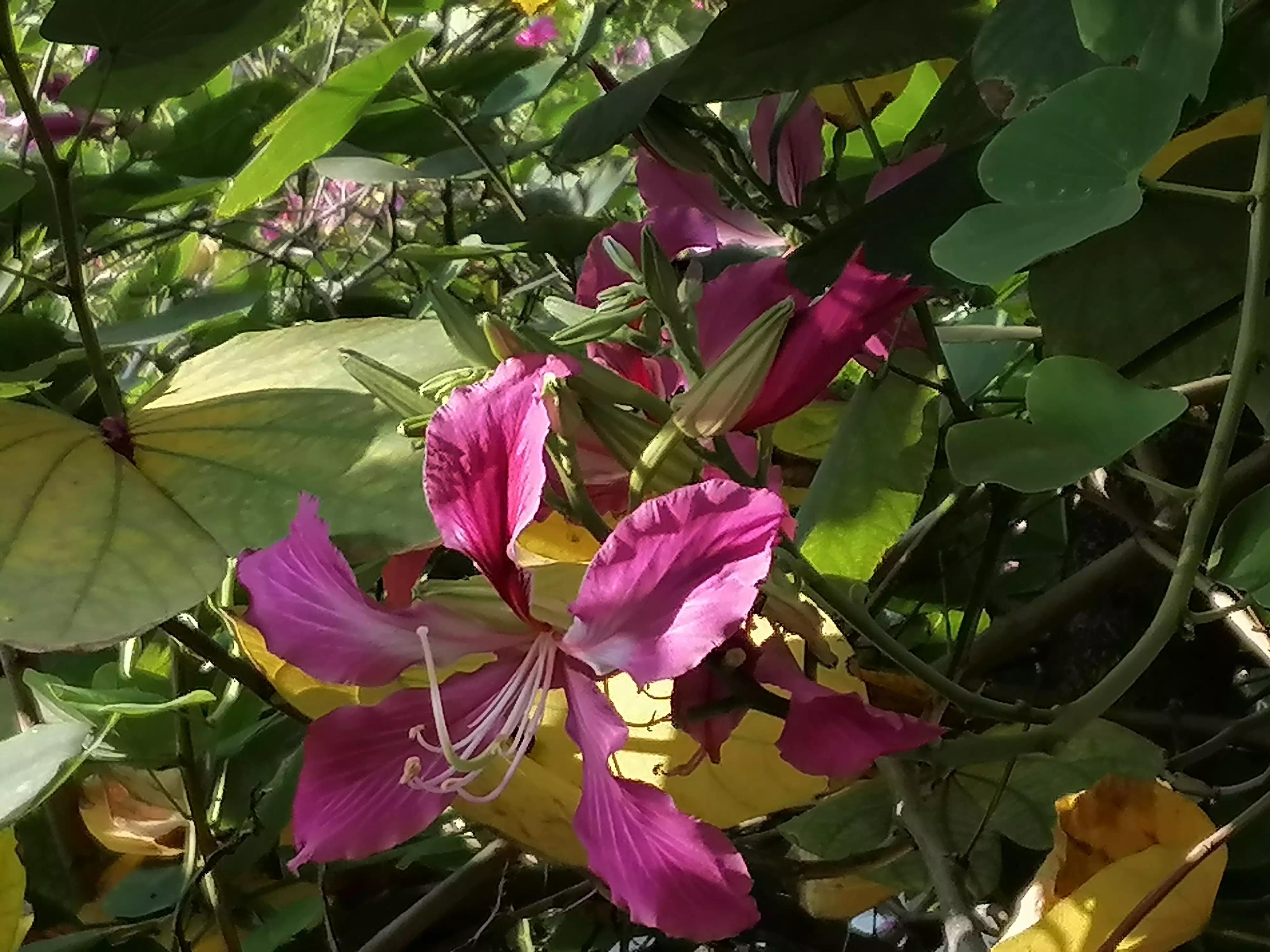 网贷信用卡逾期后被起诉,信用卡网贷逾期后起诉