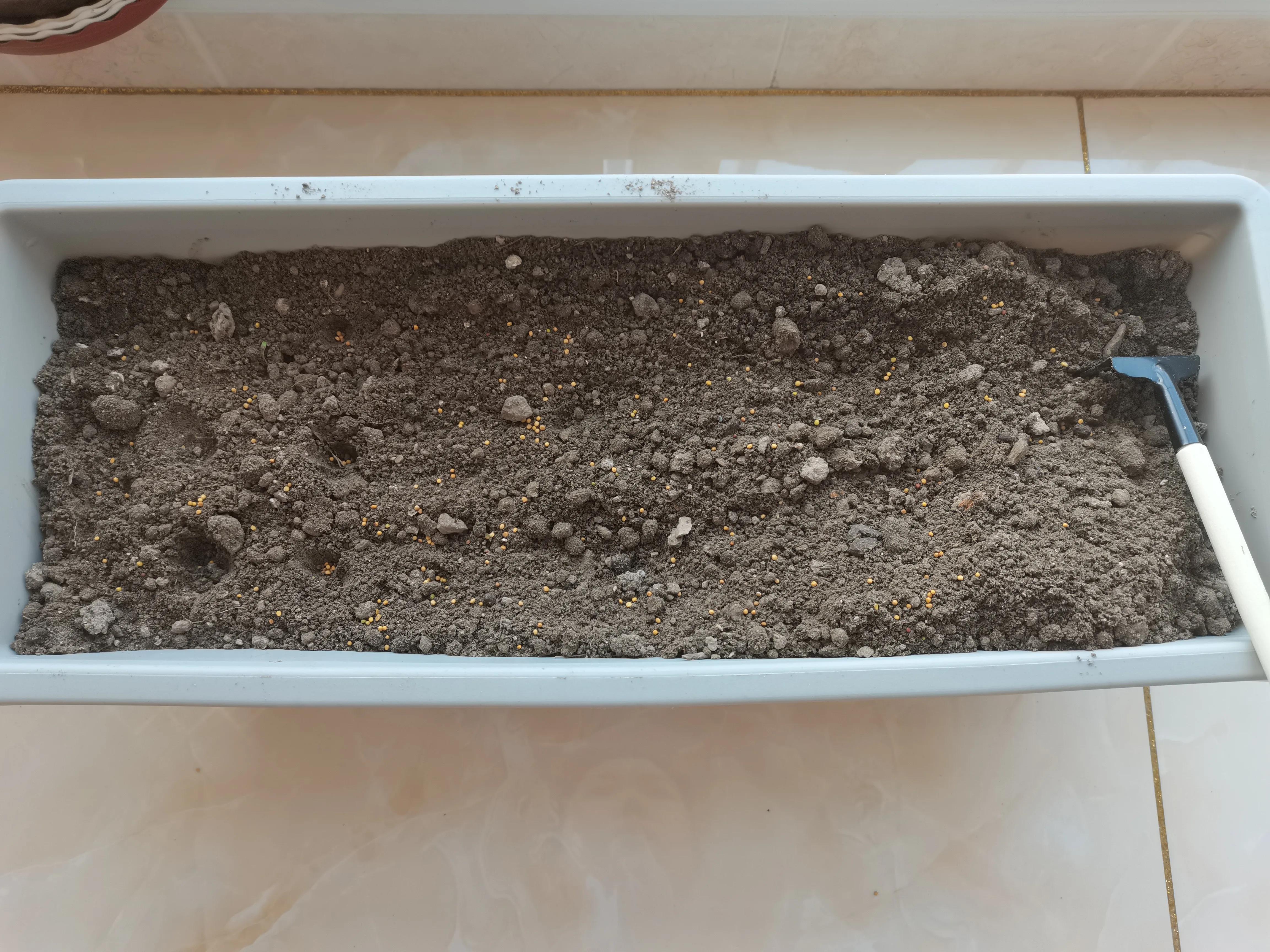 不要放弃农村的宅基地,不要放弃农村自己的宅基地