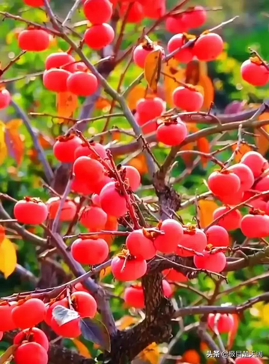 新视野大学英语4unit3texta概括 (新视野大学英语第3版第6单元答案)