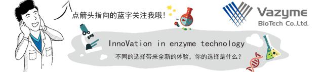 pcr梯度稀释,pcr梯度试验