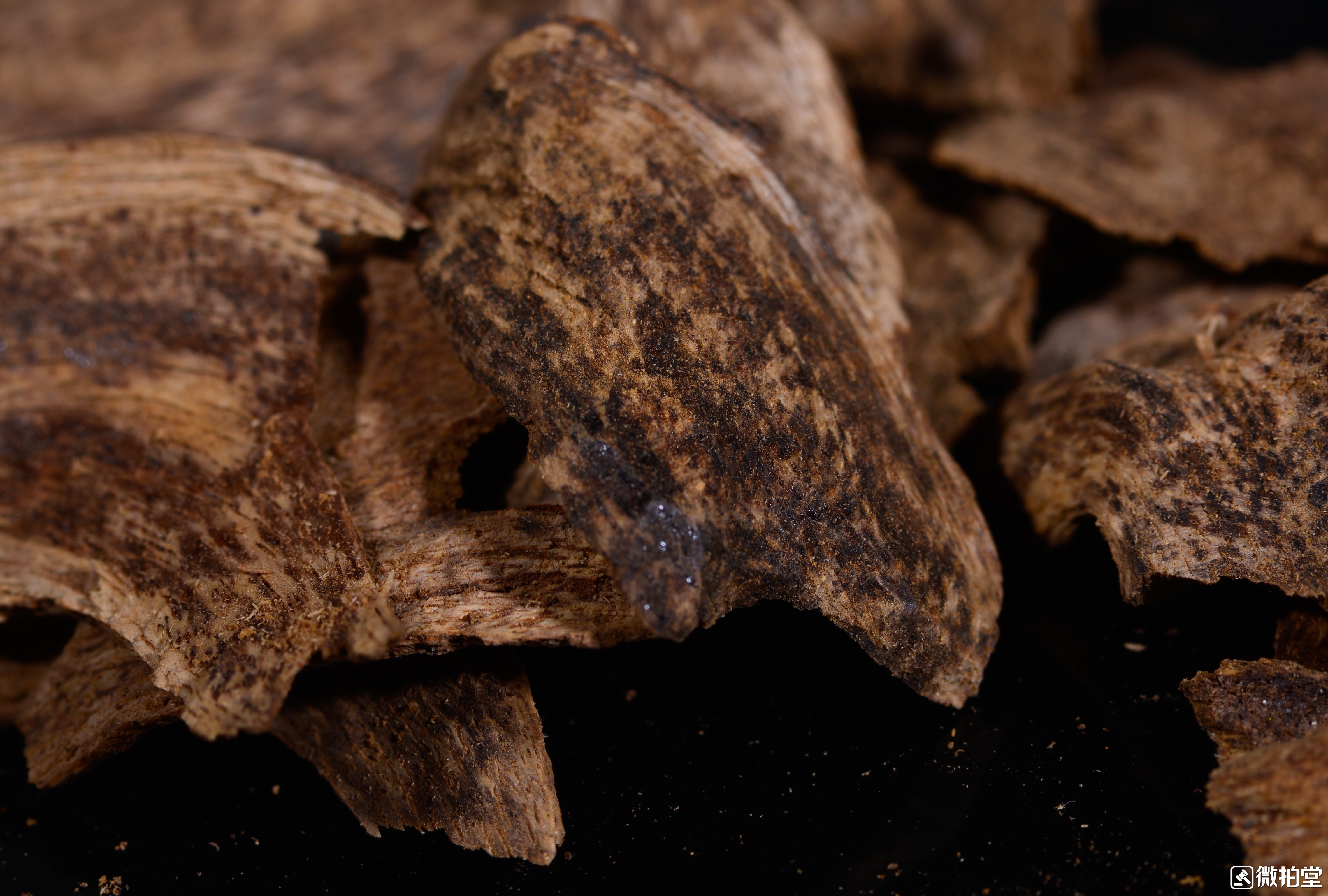 沉香保命崖柏救命,沉香好还是崖柏好