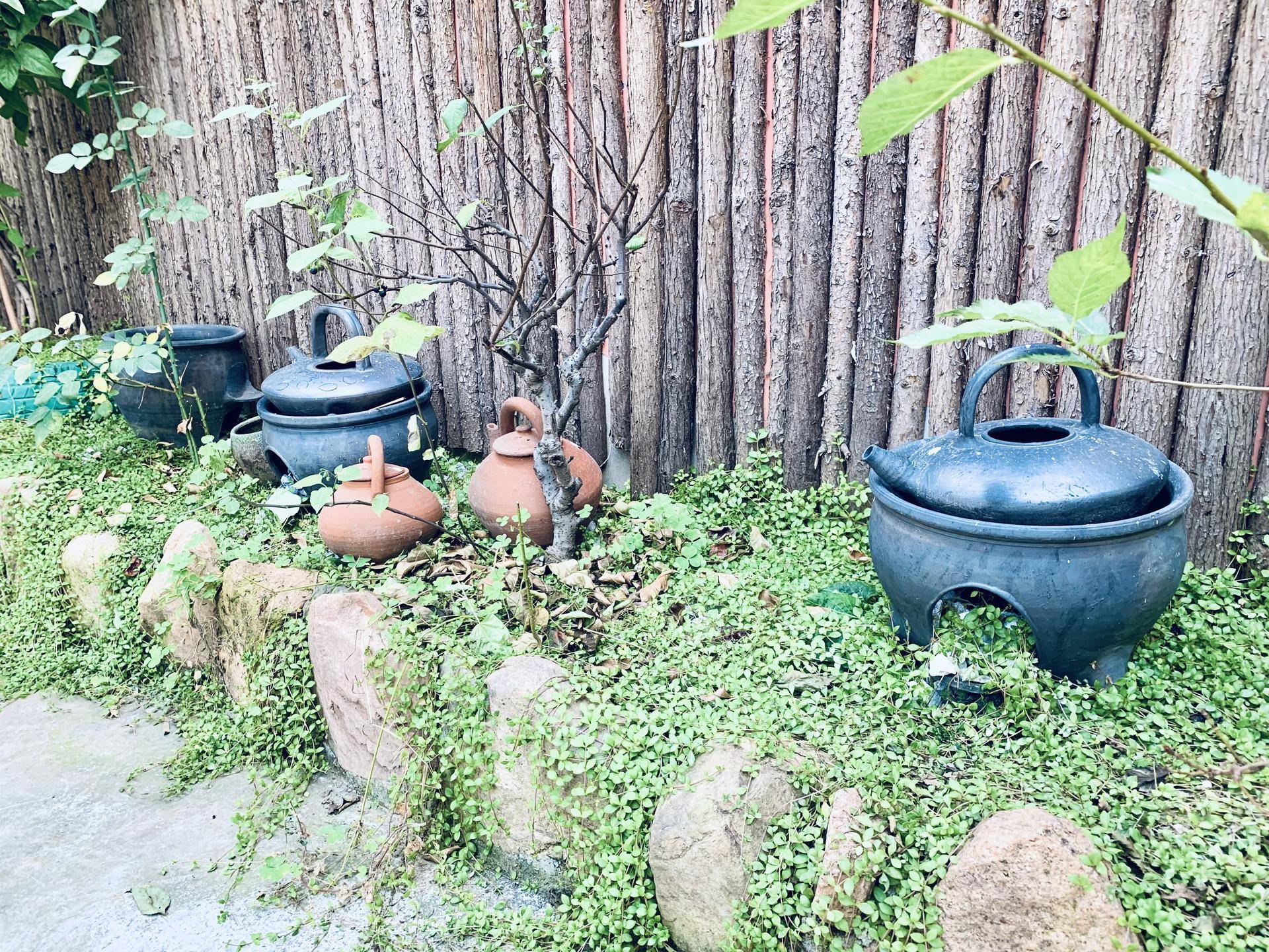 有山有水民宿原生态旅游,有山有水有云民宿名字