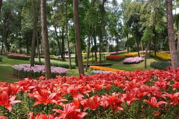 石象湖优惠,石象湖门票免费领取