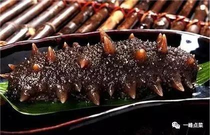 海参十大产地排名,国外十大海参官方排名