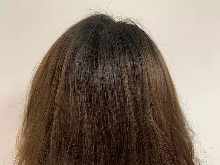 洗发水推荐控油蓬松樱花,claynal樱花洗发水推荐