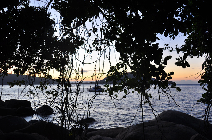 全民热遗|大堡礁上有个翡翠岛,绝美好玩,还是海龟康复中心