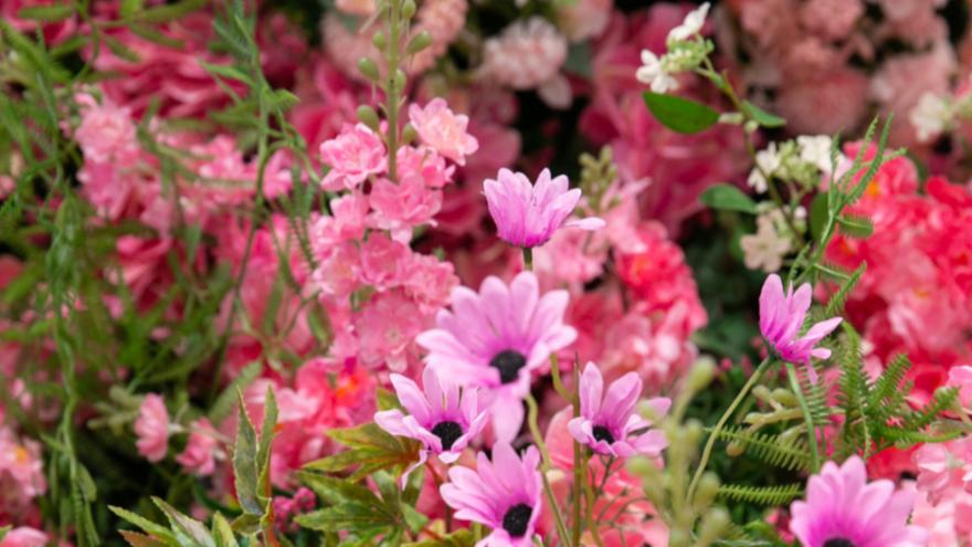 太会撩了!「中华广场」浪漫告白地,七夕的又一个新选择