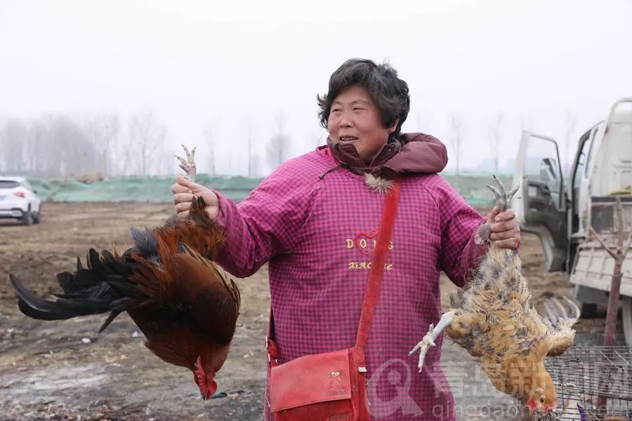 青岛春节大集攻略特色图,年货大集青岛全天