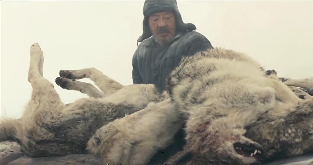 75岁老头被狼群追杀徒手大战狼群,放羊老汉遭遇狼群