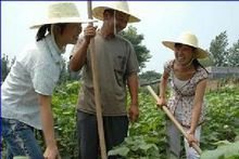 大学生村官值不值得考,大学生村官好考吗甘肃