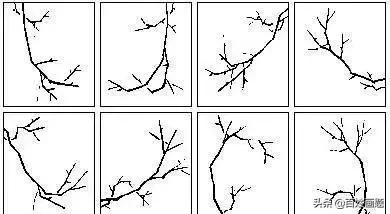 国画梅花画法视频,徐湛梅花画法教程