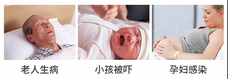 蟑螂入侵流程图片,蟑螂入侵家里