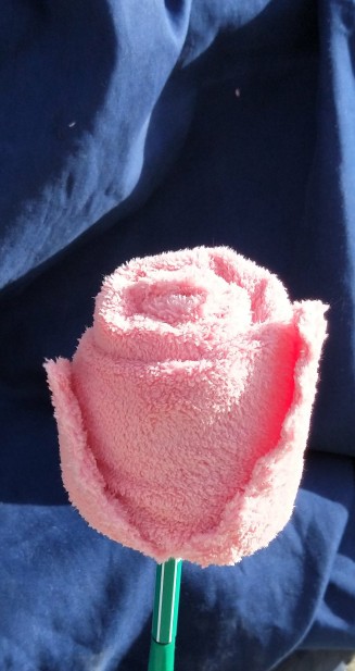 青年节手工制作永不凋谢的玫瑰花,自己亲手制作的永不凋谢的玫瑰花