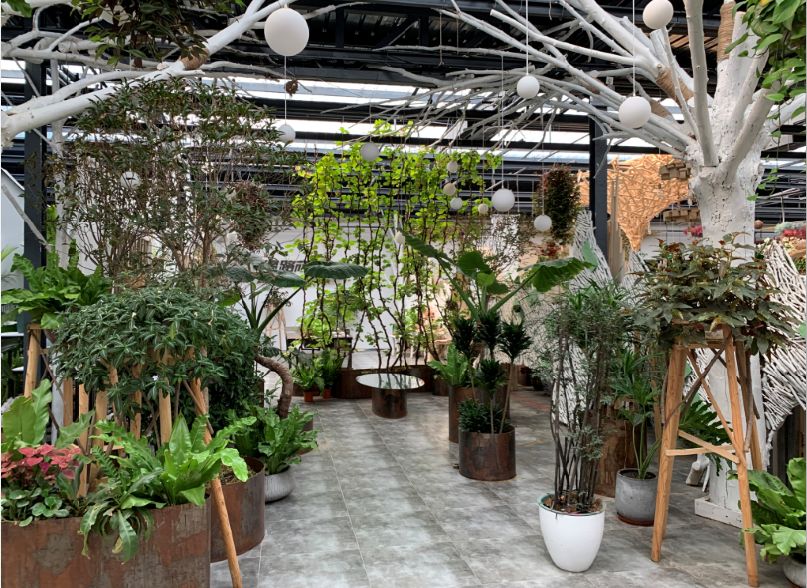 小编整理！丰台四大花市逛买攻略！春节就要这喜庆劲儿