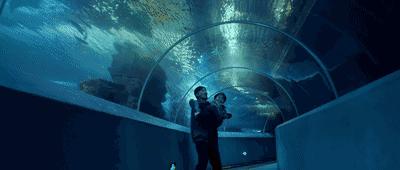 真人吃鸡高手电影,真人版刺激战场大电影