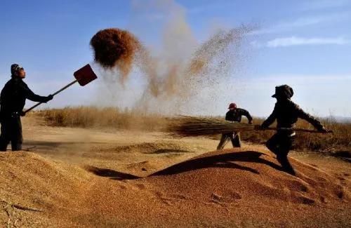 铜川拉煤货运,铜川拉煤车