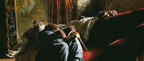 张静初陈冠希什么关系,张静初香港女星