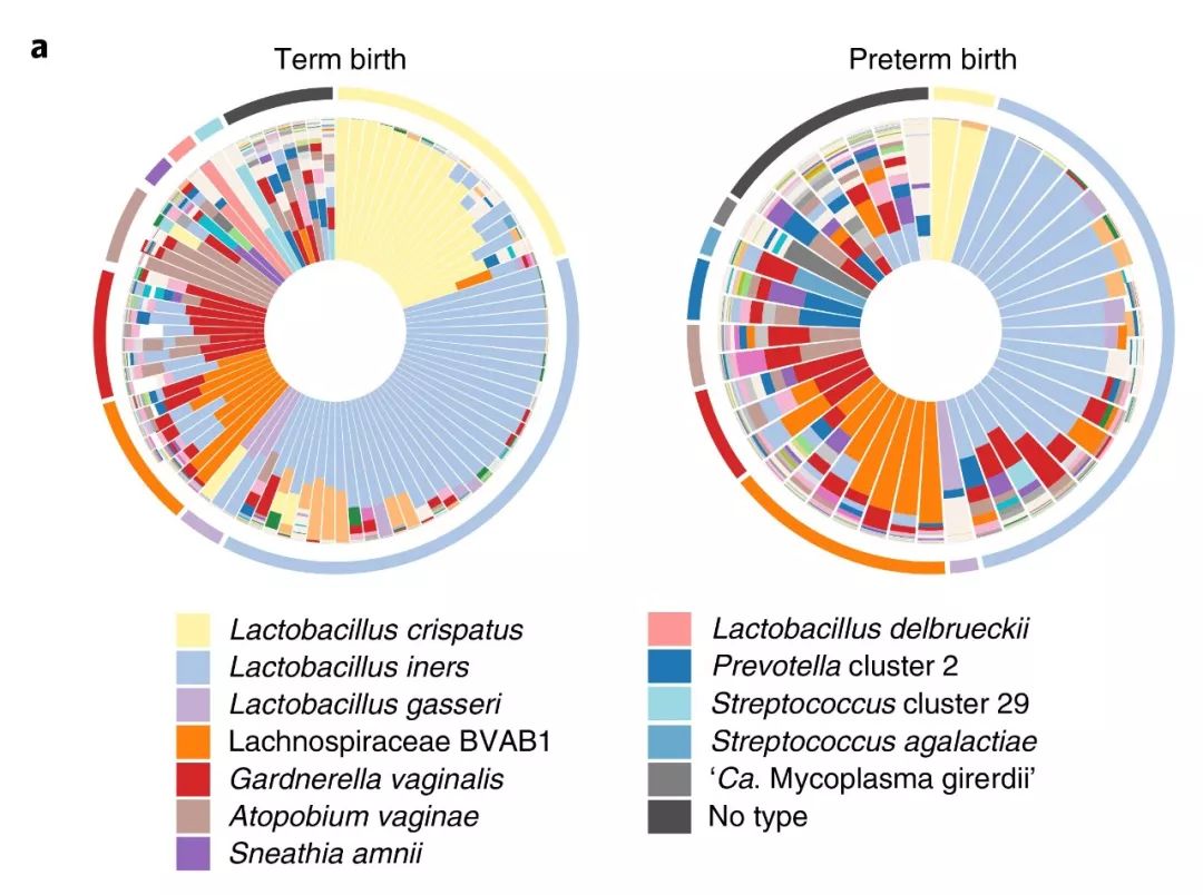 iHMP第二弹|阴道微生物与早产