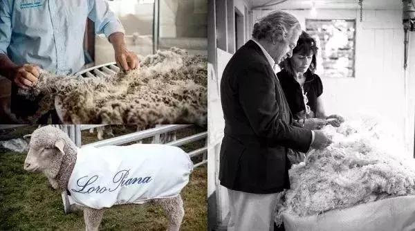 一件针织衫要六位数?能穿它的人不仅真壕还低调!