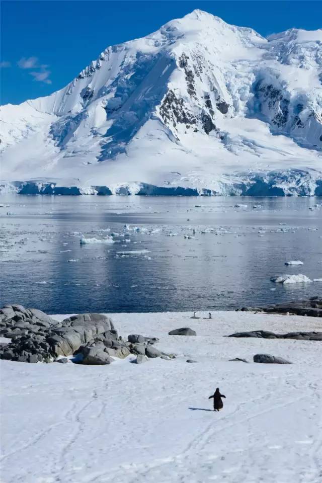 元旦机票怎么买便宜,元旦旅游便宜机票推荐