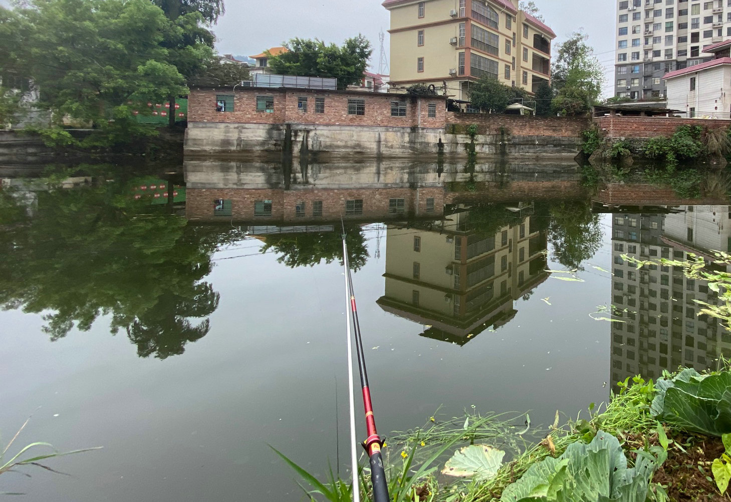 野外钓到了哪些鱼不能吃,广东钓的鱼为什么不能吃