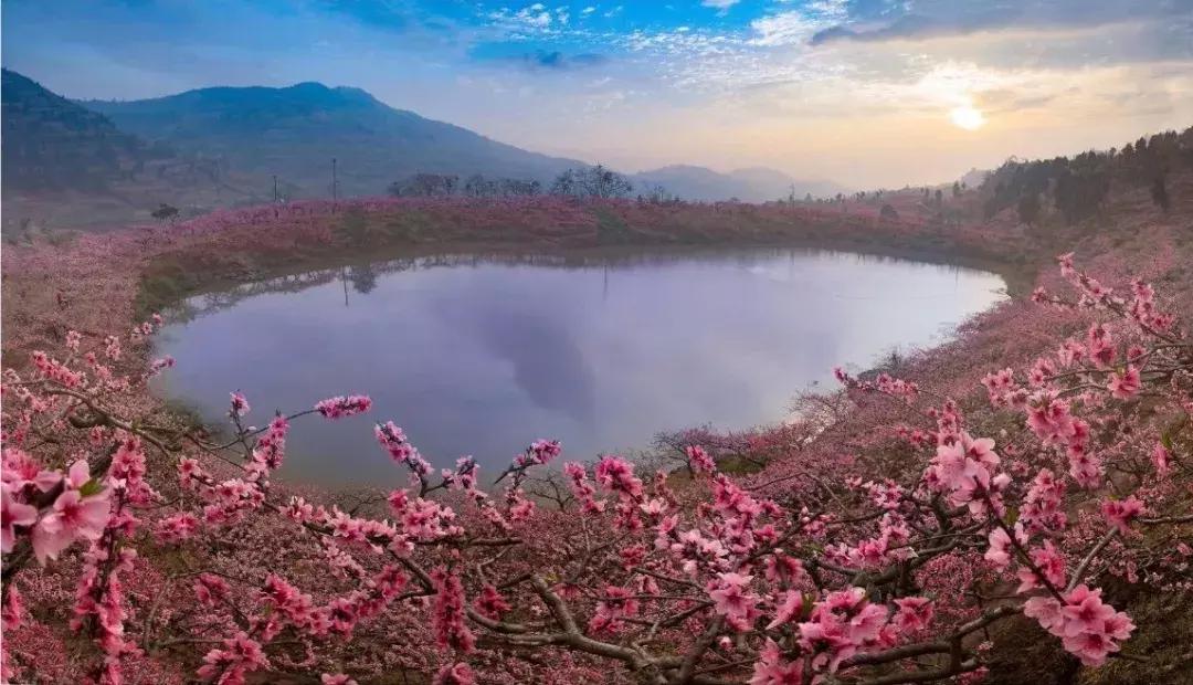 全球最大的城市森林公园,全球最绿色的城市